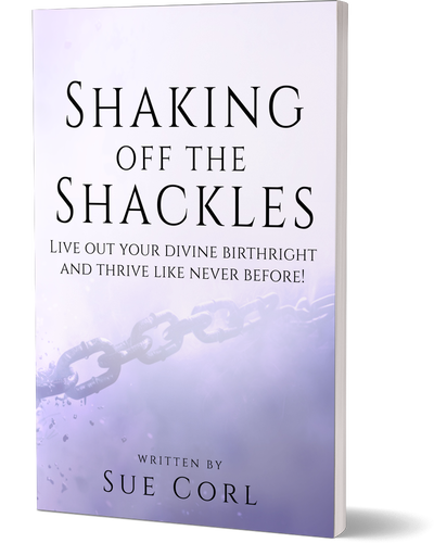 Shaking Off the Shackles 3D cover_UMBNPEV7N