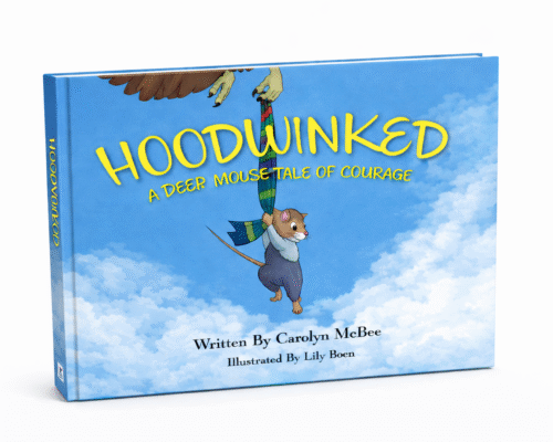 Hoodwinked 3D cover for website